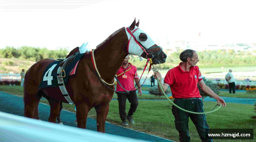 milan米兰官方网站突破自我，成就非凡！